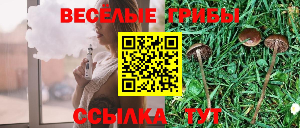 Галлюциногенные грибы мухоморы Иваново
